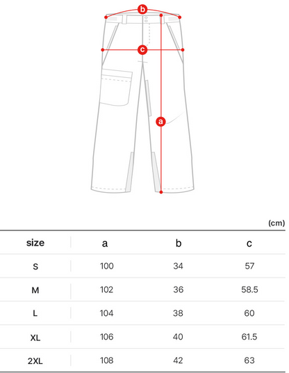 [Nuevo] FGP-04 Pantalones de esquí y snowboard